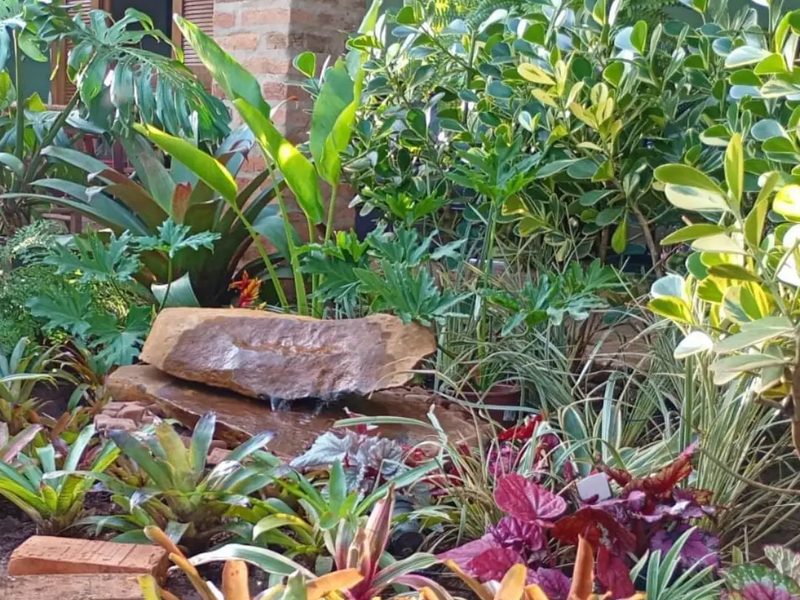 Decoração de jardim em Manduri: canteiro de bromélias com pedra e cascata, por Greg Garden Paisagismo