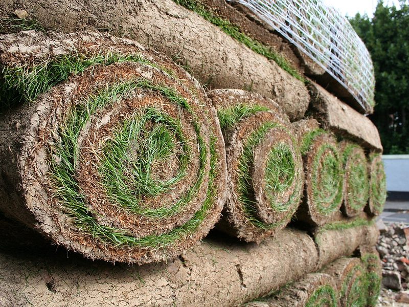 Fornecedor de grama em Cerqueira César: rolos de grama em placa empilhados