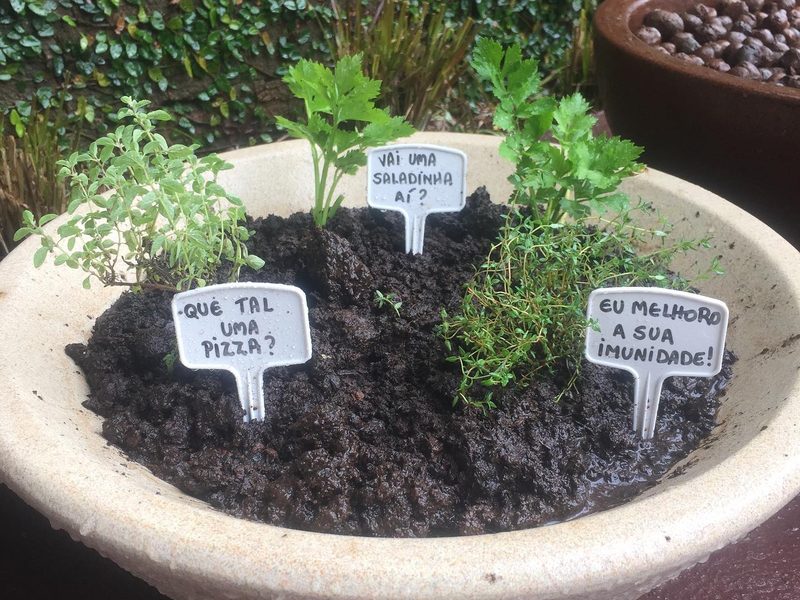 Onde comprar vasos para jardim em Águas de Santa Bárbara: vaso de ervas com plaquinhas, por Greg Garden Paisagismo