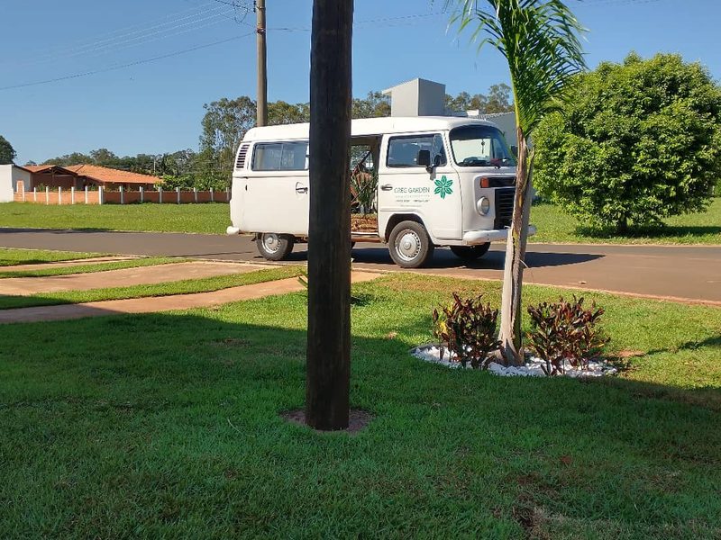 Palmeiras em Bernardino de Campos: palmeira jovem com canteiro ao pé, Kombi, por Greg Garden Paisagismo