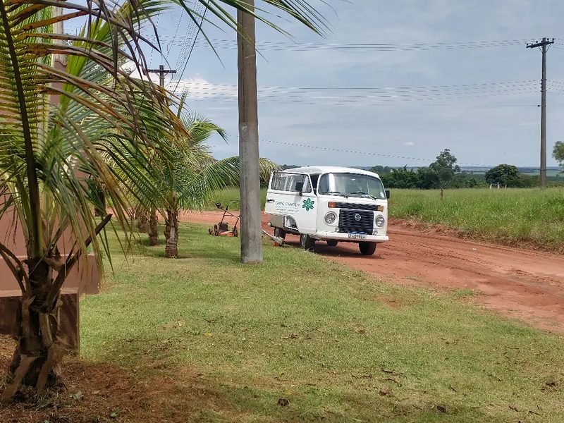 Palmeiras em Manduri: palmeira jovem em área rural com Kombi, por Greg Garden Paisagismo