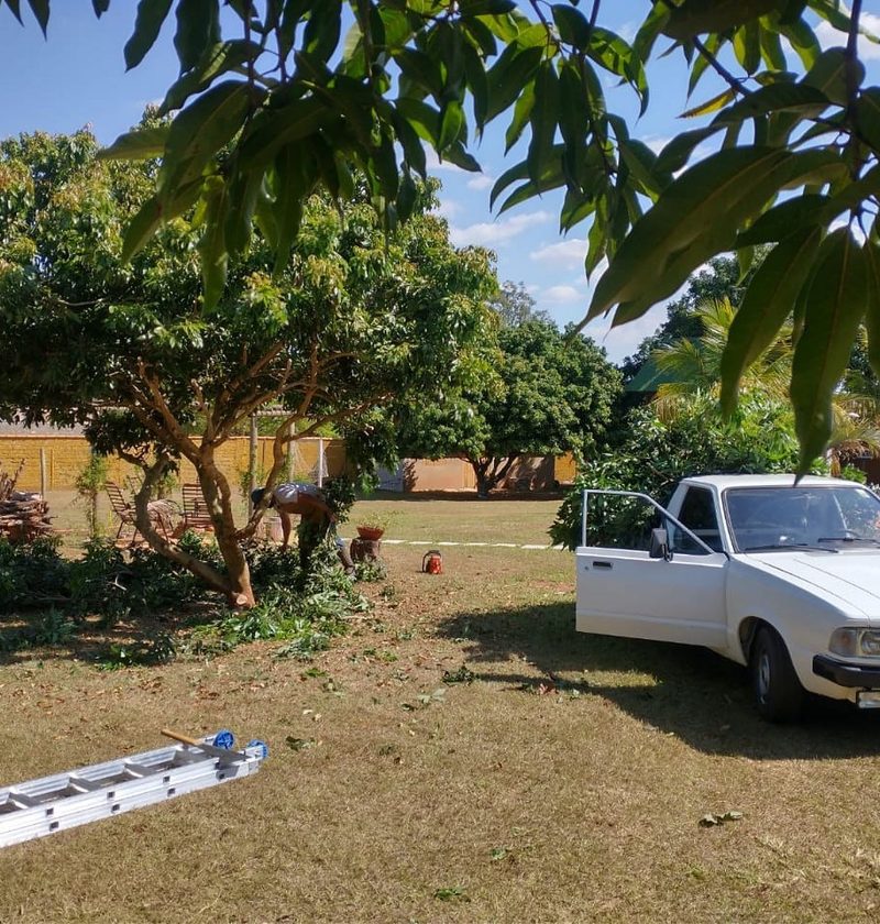Revitalização de jardim em Iaras: caminhonete em gramado com árvore e escada, por Greg Garden Paisagismo
